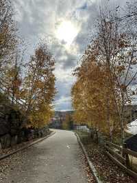 🇨🇦モントランブラン（Mont-Tremblant）の紅葉ハイキング 🍁
