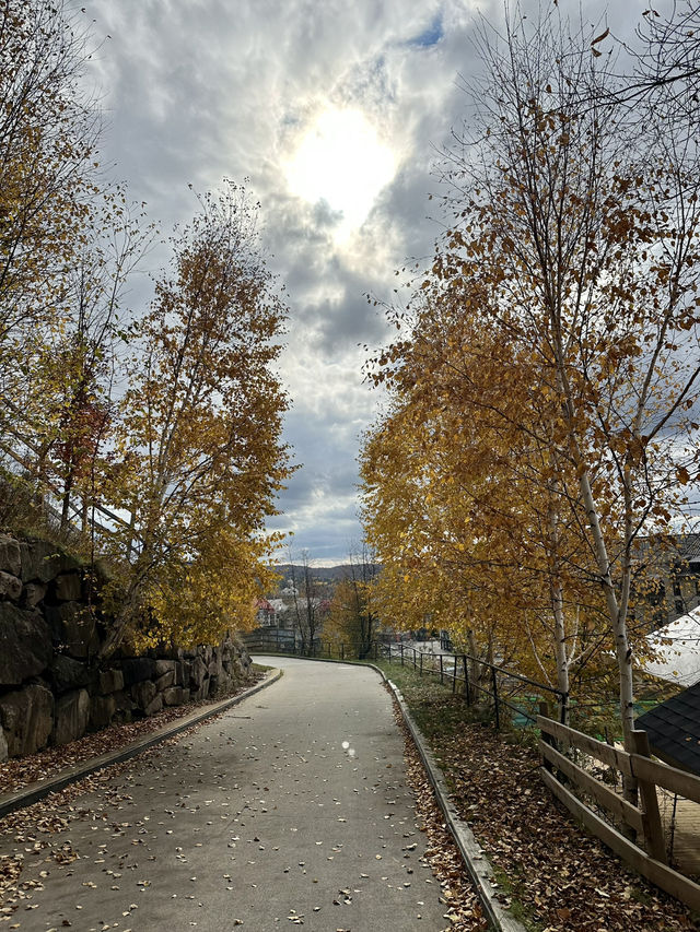 🇨🇦モントランブラン（Mont-Tremblant）の紅葉ハイキング 🍁