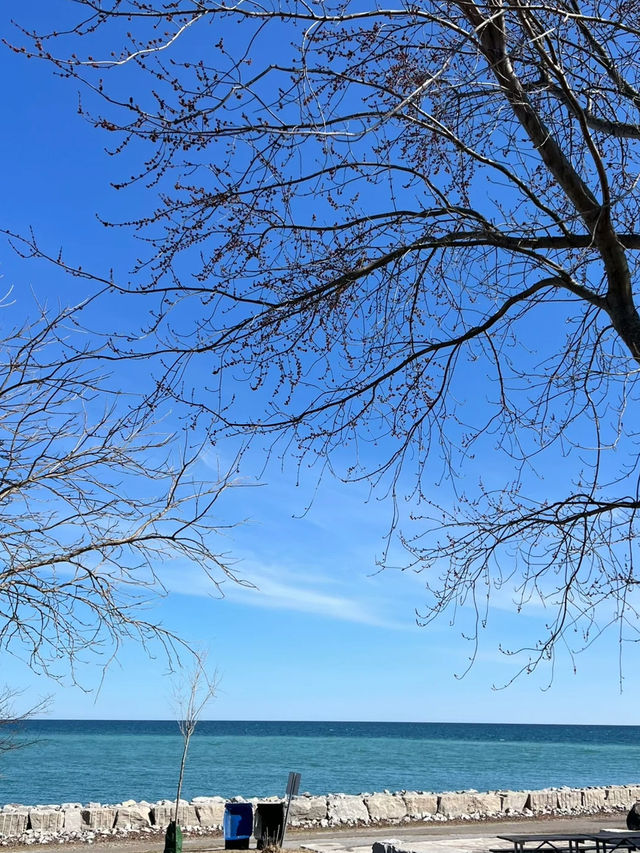 Bluffer’s Park – Toronto’s Scenic Lakeside Gem Bluffer’s Park – Toronto’s Scenic Lakeside Gem