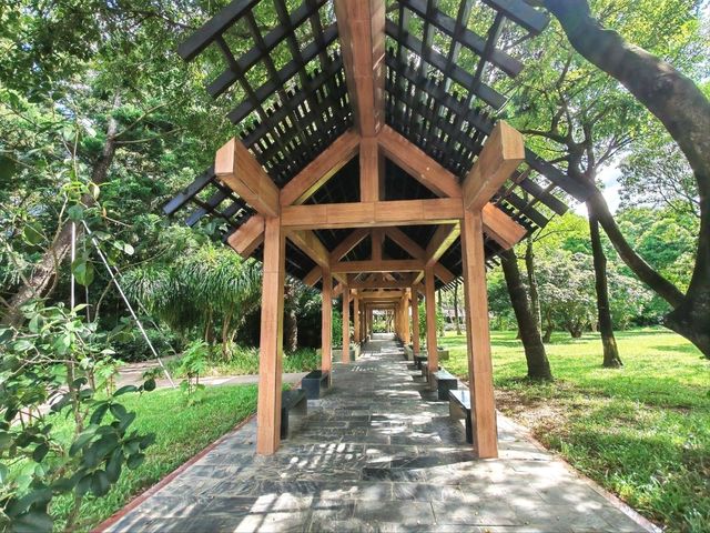深圳｜深圳灣公園