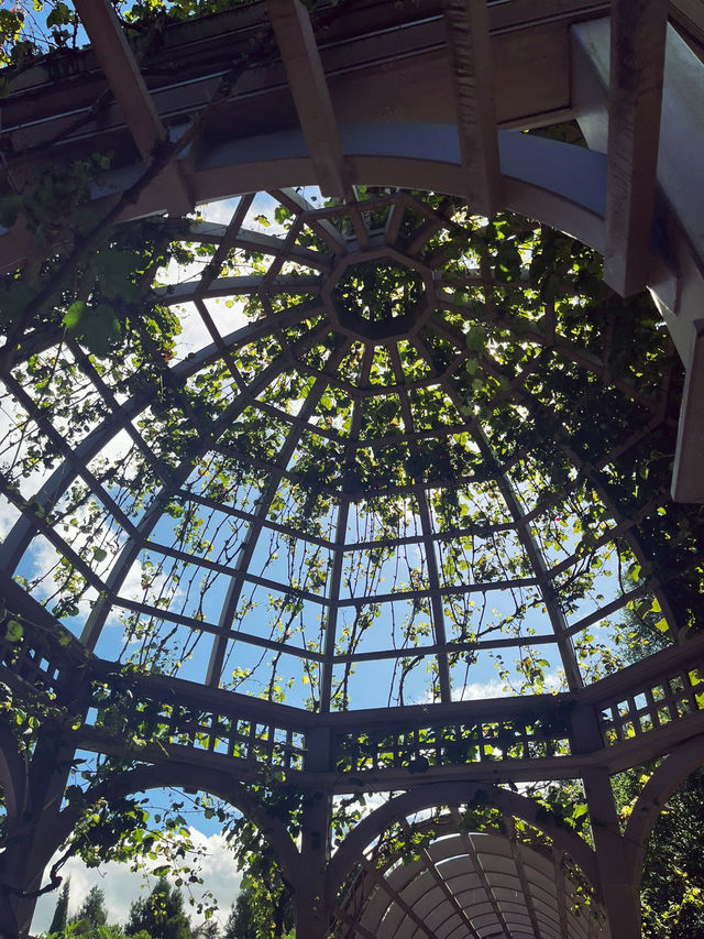 🇳🇿紐西蘭必訪 · 漢米爾頓花園｜一座活的園林藝術博物館 🌿✨