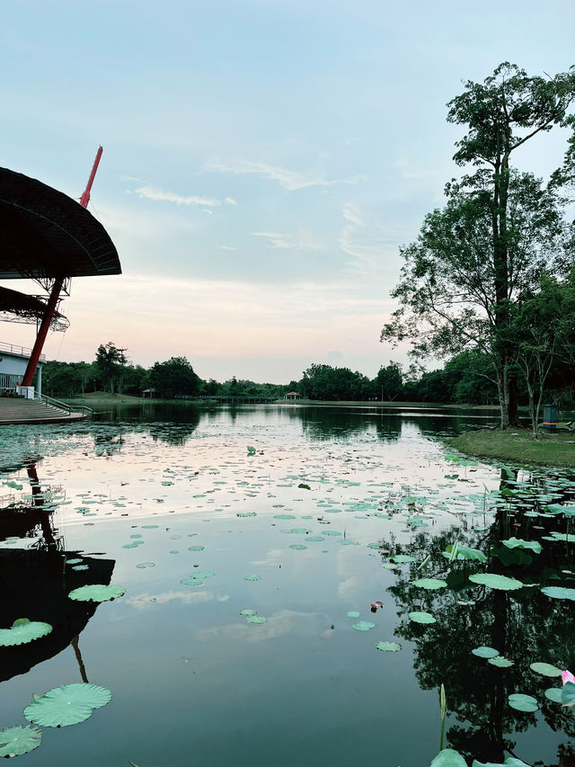 Cyberjaya Lake Garden: Scenic Escape in Sepang
