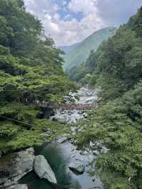 【スリル満点!徳島の秘境スポット🌉✨】
