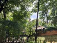 เที่ยว “วัดอุโมงค์” ฟิลฤดูฝน เขียวชื่นใจ