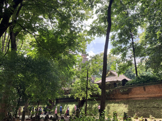 เที่ยว “วัดอุโมงค์” ฟิลฤดูฝน เขียวชื่นใจ  เที่ยว “วัดอุโมงค์” ฟิลฤดูฝน เขียวชื่นใจ