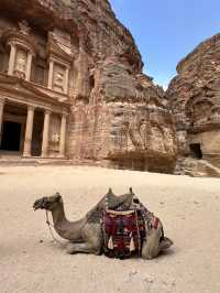 Review – The Treasury, Petra