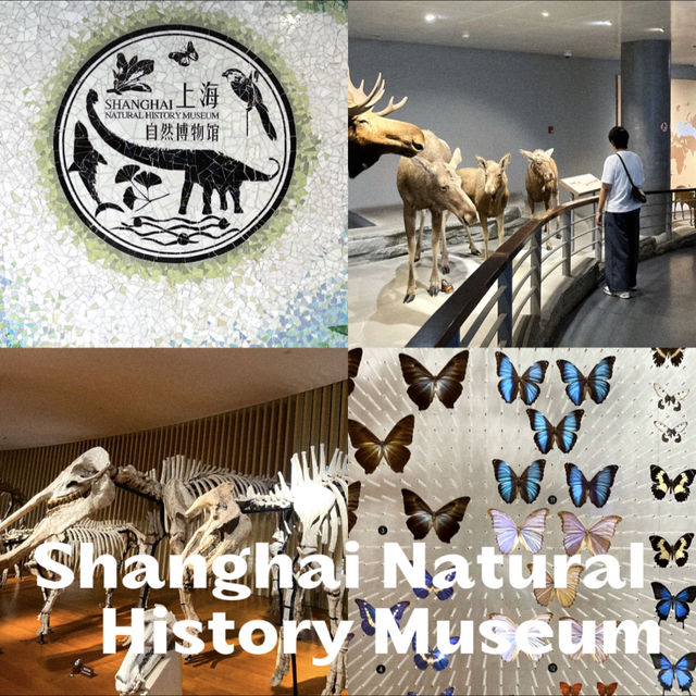 เยี่ยมชม Shanghai Natural History Museum 🦋