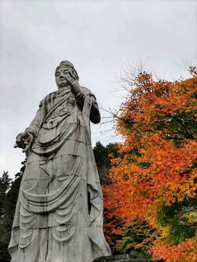 紅葉満喫1泊2日 紅葉満喫1泊2日