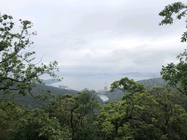 太平山餐廳The Peak Lookout 太平山餐廳The Peak Lookout