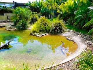 시임비오 야생동물원 - 호주 동물과의 가까운 만남