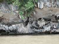 ไปนั่งเรือเที่ยวเกาะที่พังงากัน
