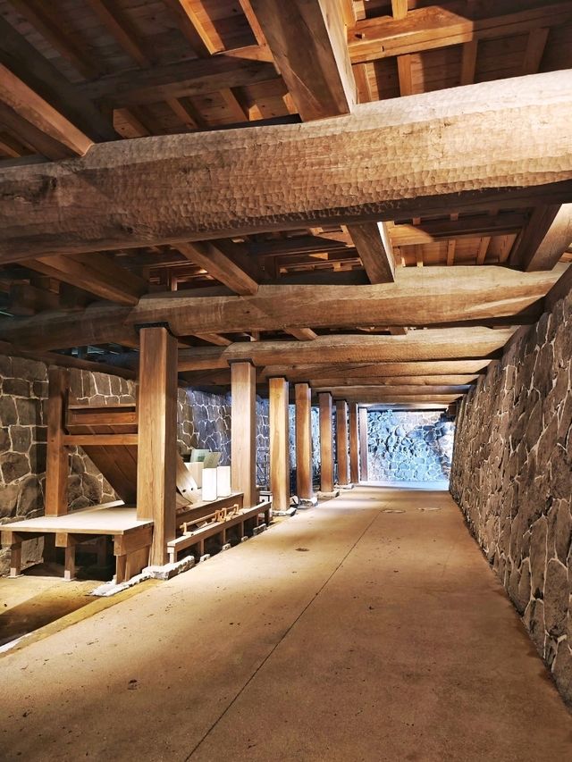 熊本城🏯歷史與🇯🇵重生之旅