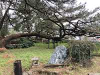 免費入場臥松園區打卡推介🌳