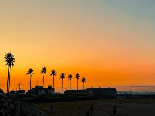 【Osaka】Picnic & Cycling at Sennan Rinku Park, Enjoying the Sea Breeze