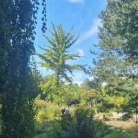Loki Schmidt Garden Botanical of University Hamburg