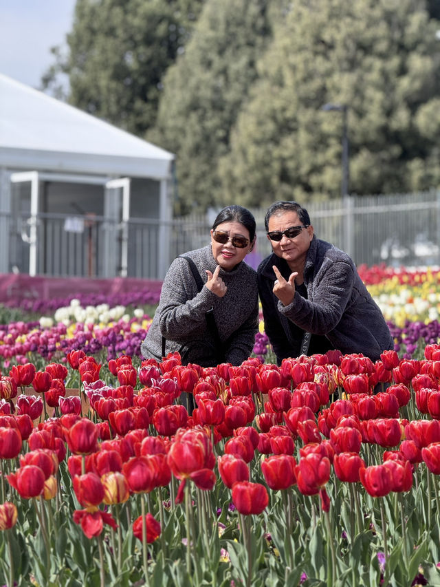 Tulip Festival Fun🎉
