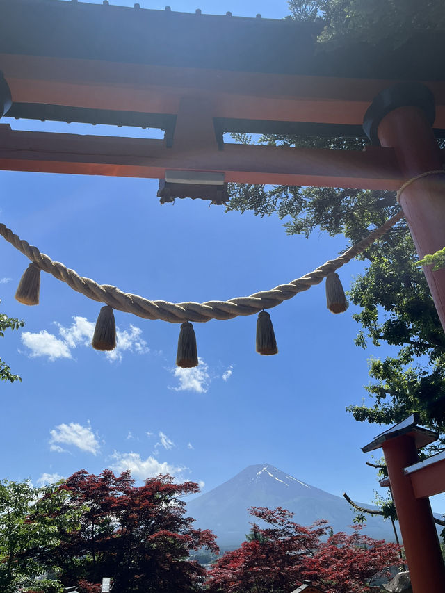 【秋日限定】淺間公園的夢幻畫面
