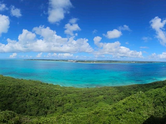 수영못함 미야코지마