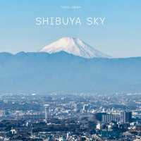 ☁️🗼 SHIBUYA SKY: The Ultimate Tokyo City Viewpoint!