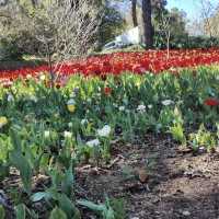 Araluen Botanic Park