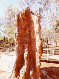 🏜️ Darwin Termite Mounds: Nature's Skyscrapers in the Australian Outback! 🌄
