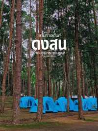 ⛺️ ลานกางเต็นท์ ดงสน | ดอยอินทนนท์