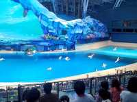 chimelong