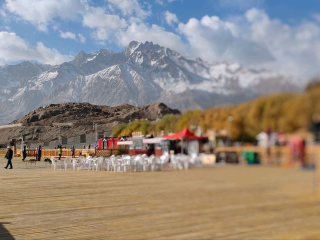 Autumn on the Pamir Plateau at the Golden Grassland