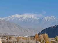 A Bird's-Eye View of the Golden Grassland: A Golden Scroll on the Pamir Plateau