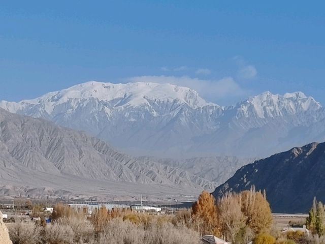 A Bird's-Eye View of the Golden Grassland: A Golden Scroll on the Pamir Plateau