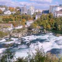 Roaring Beauty of Rhine Falls 