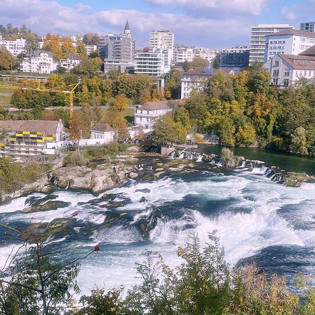 Roaring Beauty of Rhine Falls 