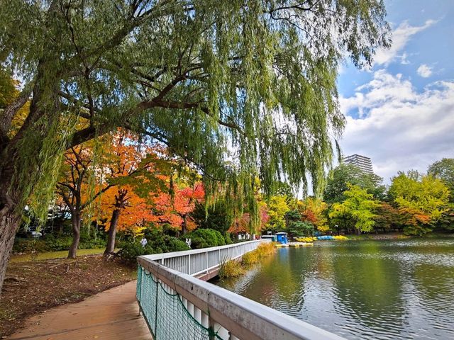 札幌市區內的美景~配合電車遊歷的中島公園。輕鬆! 札幌市區內的美景~配合電車遊歷的中島公園。輕鬆!