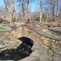 Winterthur Museum, Garden & Library