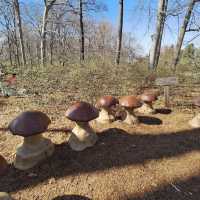 Winterthur Museum, Garden & Library