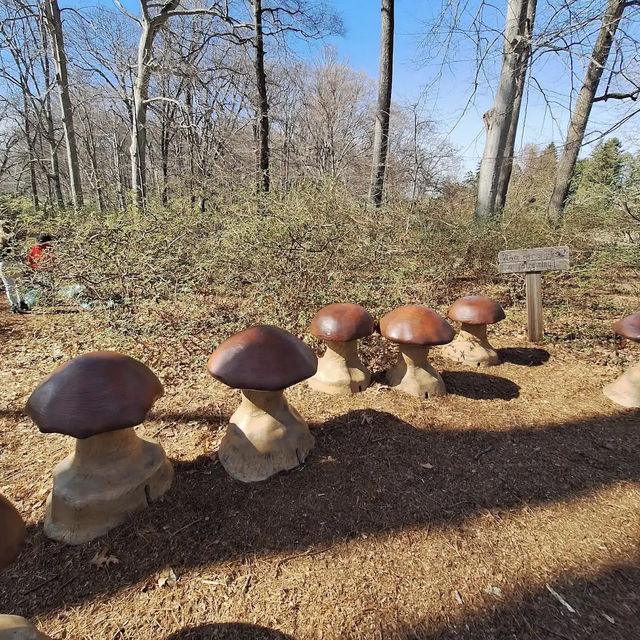 Winterthur Museum, Garden & Library