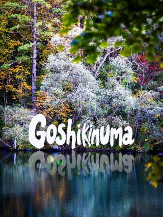 Goshikinuma: As the world cools, water begins to tell stories.