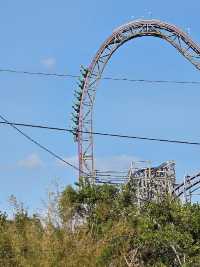 Busch Gardens Tampa Bay