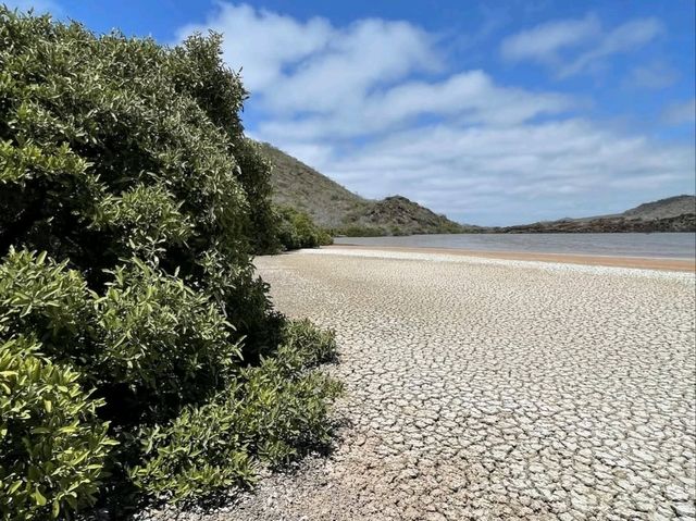 Climbing to Stunning Views on Isla Bartolome Climbing to Stunning Views on Isla Bartolome