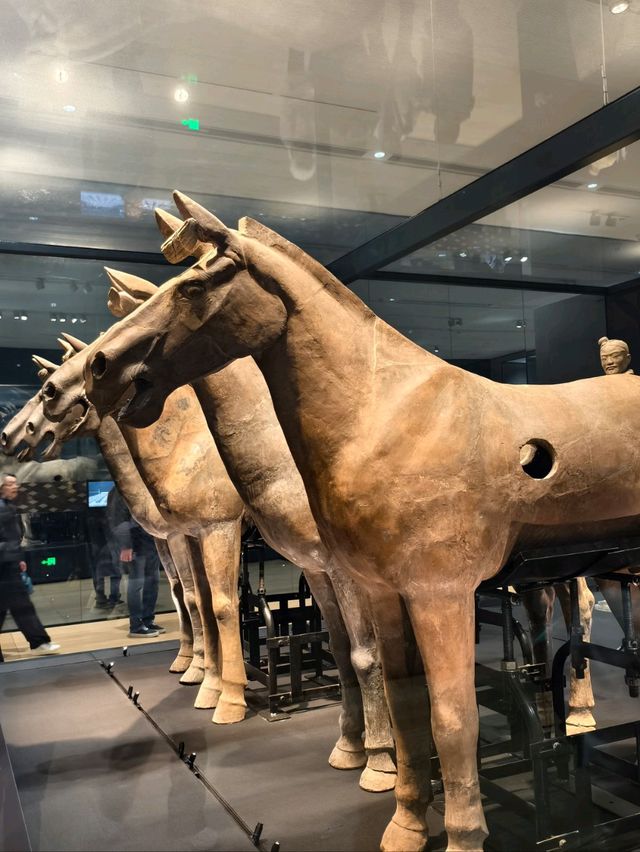 Terracotta warriors museum Terracotta warriors museum