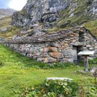 Chasing the Pink Tune of La Lire Rose