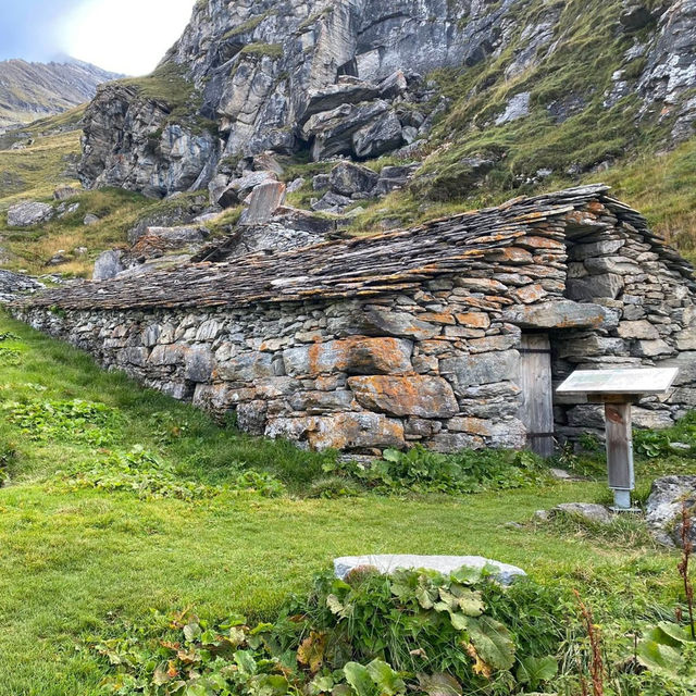 Chasing the Pink Tune of La Lire Rose