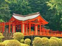 🌸 Nezu Shrine – A Serene Escape in Tokyo’s Old Neighborhood