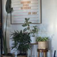 Fika on Brix: คาเฟ่ชิลพาเพื่อนสี่ขามานั่งได้