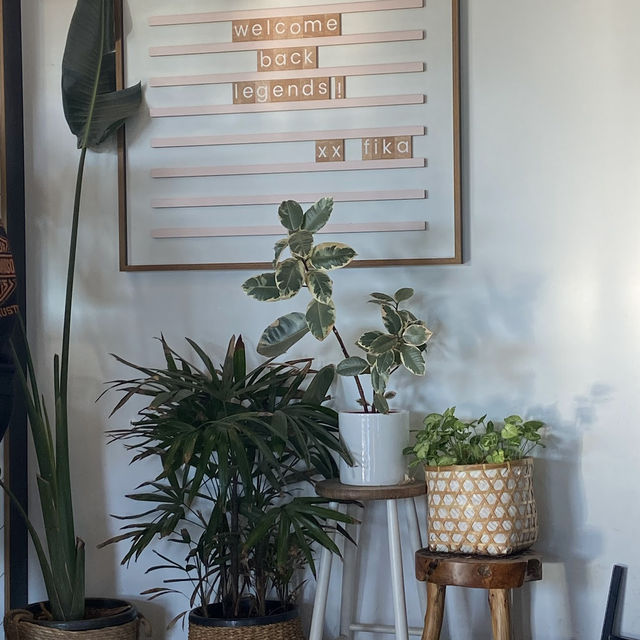 Fika on Brix: คาเฟ่ชิลพาเพื่อนสี่ขามานั่งได้