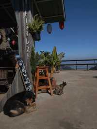 เติมป่าเติมดอยกับผาฮี้ที่เชียงราย