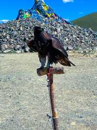🌿 광활한 대자연의 품, 몽골 고르히 테를지 국립공원