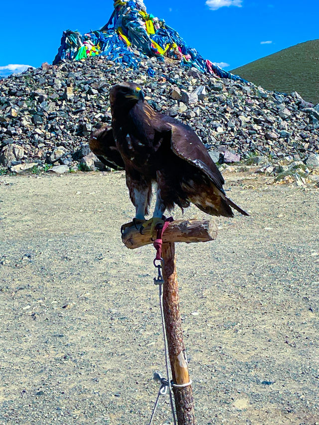 🌿 광활한 대자연의 품, 몽골 고르히 테를지 국립공원