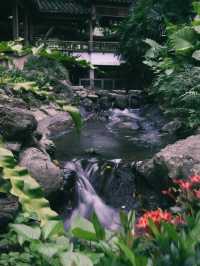 《台北竟然藏著這座東方古典秘境：至善園》