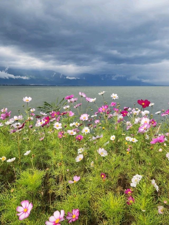 “The Shimmering Blue Jewel of Dali”